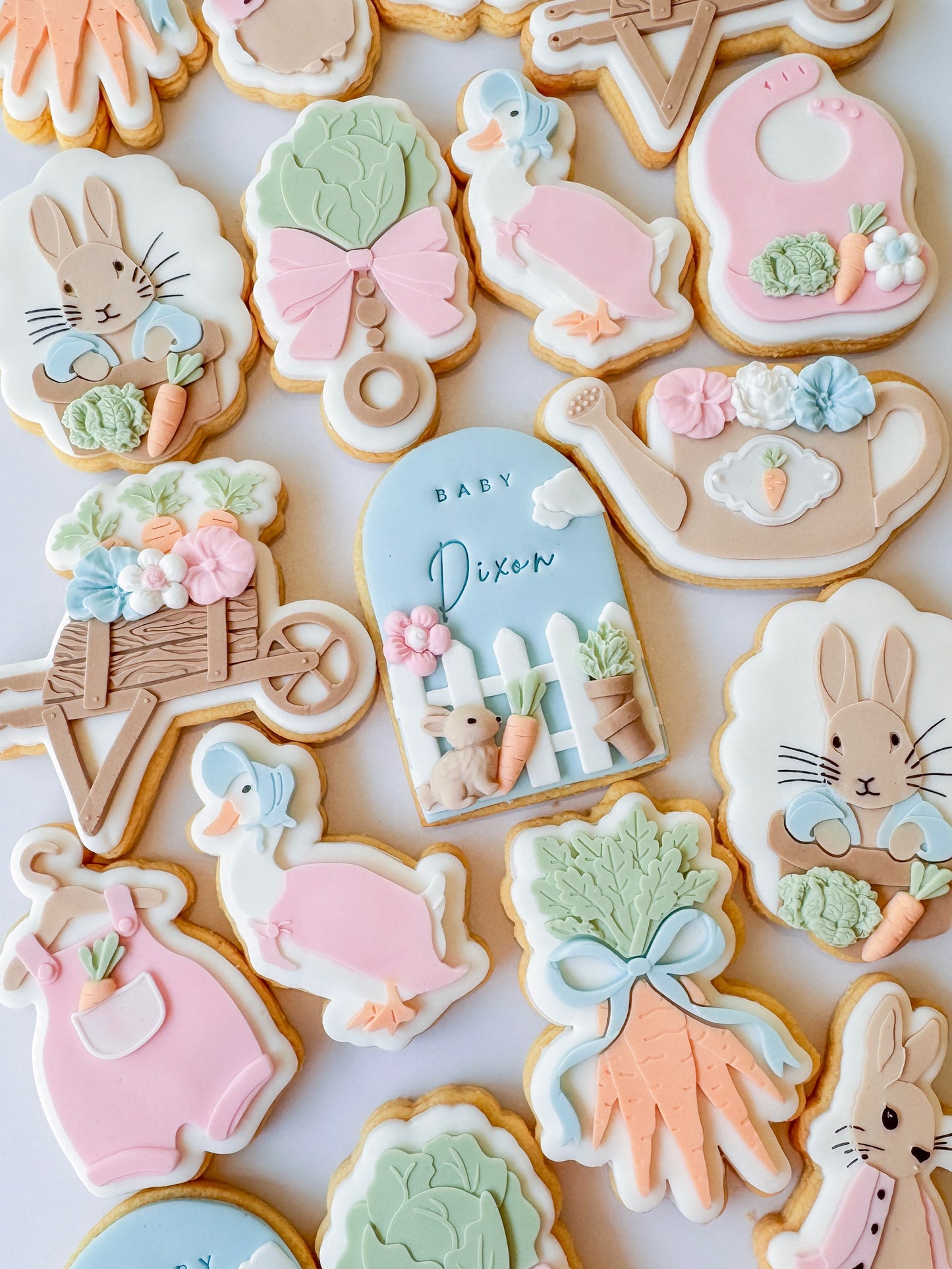 Peter Rabbit in Pot Cookie Stamp and Cutter